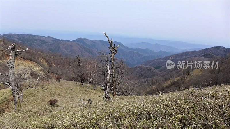 Mount Tanzawa (丹沢山) in Kanagawa, Japan